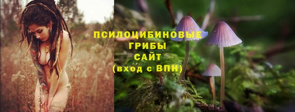 спиды Алексин