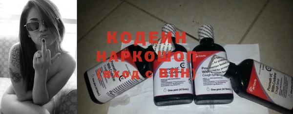 прущие грибы Ростов