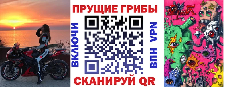 купить  сайты  Жиздра  сайты даркнета официальный сайт  Псилоцибиновые грибы мицелий 